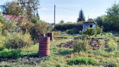 Продажа земли СТ Надежда-Сибади 3 Камышловское Продажа земли СТ Надежда-Сибади 3 Камышловское