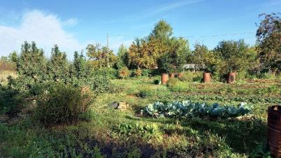 Продажа земли СТ Надежда-Сибади 3 Камышловское Продажа земли СТ Надежда-Сибади 3 Камышловское