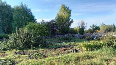 Продажа земли СТ Надежда-Сибади 3 Камышловское Продажа земли СТ Надежда-Сибади 3 Камышловское