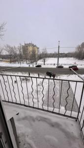 Продажа квартиры Омск. 24-я Северная улица 173 Продажа квартиры Омск. 24-я Северная улица 173