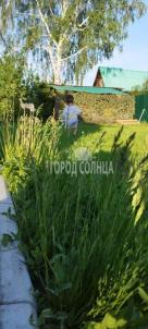 Продажа дачи Омск. , 4 Продажа дачи Омск. , 4