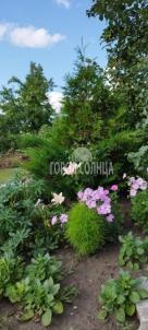 Продажа дачи Омск. , 4 Продажа дачи Омск. , 4