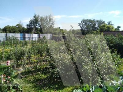 Продажа дома Зеленая Продажа дома Зеленая