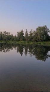 Продажа дачи Таврический район. р-н. Таврический. СНТ Озёрное 