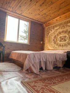 Продажа дачи Омск. Богословское сельское поселение, СНТ Птицевод-3 Продажа дачи Омск. Богословское сельское поселение, СНТ Птицевод-3