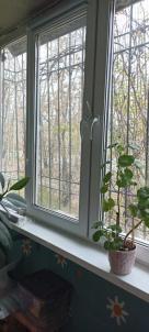 Продажа квартиры Омск. проспект Мира 92 Продажа квартиры Омск. проспект Мира 92