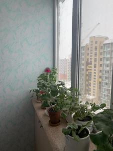 Продажа квартиры Омск. Сергея Тюленина, 1 Продажа квартиры Омск. Сергея Тюленина, 1