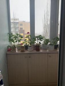 Продажа квартиры Омск. Сергея Тюленина, 1 Продажа квартиры Омск. Сергея Тюленина, 1
