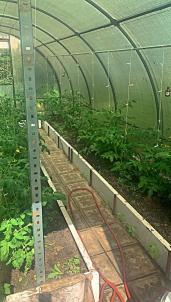 Продажа дачи СНТ Кварц-1 Продажа дачи СНТ Кварц-1