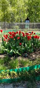Продажа дачи Омск. тер.СОСН. Полет-1 Продажа дачи Омск. тер.СОСН. Полет-1