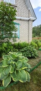 Продажа дачи Омск. тер.СОСН. Полет-1 Продажа дачи Омск. тер.СОСН. Полет-1