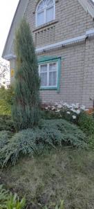 Продажа дачи Омск. тер.СОСН. Полет-1 Продажа дачи Омск. тер.СОСН. Полет-1