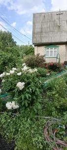 Продажа дачи Омск. тер.СОСН. Полет-1 Продажа дачи Омск. тер.СОСН. Полет-1