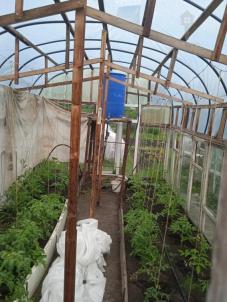 Продажа дачи ТСН СНТ Берёзка