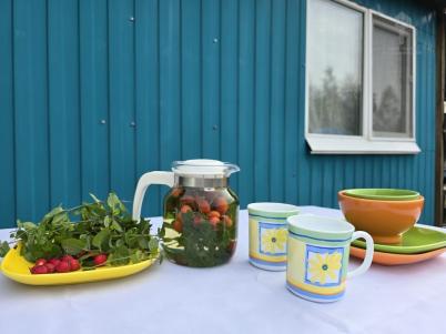 Продажа дачи ТСН СНТ Берёзка Продажа дачи ТСН СНТ Берёзка