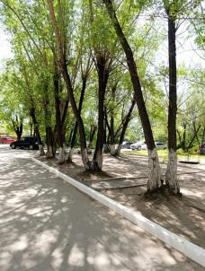 Продажа квартиры Омск. улица Ярослава Гашека 22