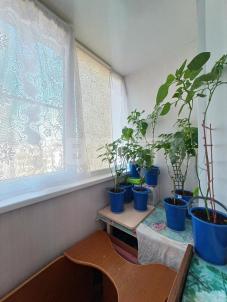 Продажа квартиры Омск. ул. Лукашевича, 25 Продажа квартиры Омск. ул. Лукашевича, 25