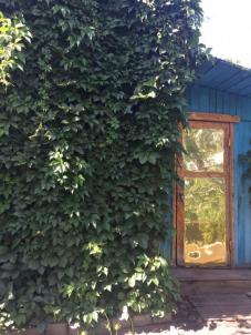 Продажа дачи Омск. тер.СОСН. Энергетик Продажа дачи Омск. тер.СОСН. Энергетик
