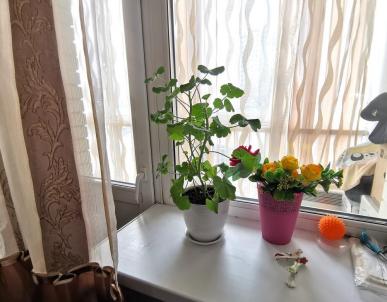 Продажа квартиры Омск. ул Енисейская 3-я, 28