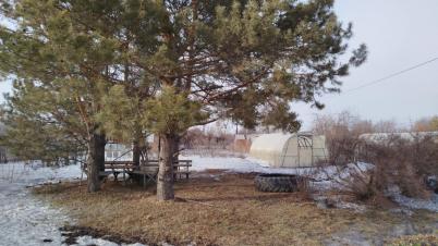 Продажа дачи Омск. Степной, СОСН Степное имени Е.Ш. Левина, 31