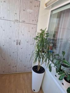 Продажа квартиры Омск. ул Заозерная, 3