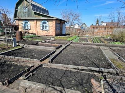 Продажа дачи Омск. СНТ Сатурн, 31 Продажа дачи Омск. СНТ Сатурн, 31