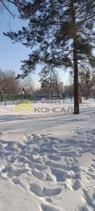 Продажа квартиры Омск. улица Семиреченская, 138 Продажа квартиры Омск. улица Семиреченская, 138