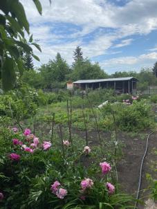 Продажа дачи Омск. СНТ Полёт 1