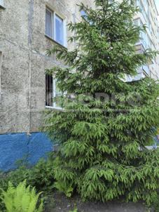 Продажа квартиры Омск. проспект Королева, 16 Продажа квартиры Омск. проспект Королева, 16