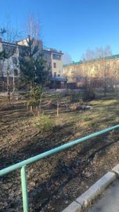 Продажа квартиры Омск. Андрианова, 10/1 Продажа квартиры Омск. Андрианова, 10/1