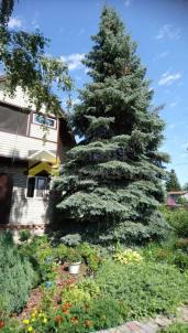 Продажа дачи Омск. г Омск, тер.СОСН Шинник-1, д 324 Продажа дачи Омск. г Омск, тер.СОСН Шинник-1, д 324