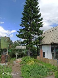 Продажа дачи Омск. Шинник-2 Продажа дачи Омск. Шинник-2