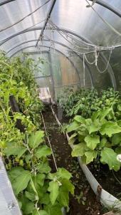 Продажа дачи Омск. Карьер, Продажа дачи Омск. Карьер,