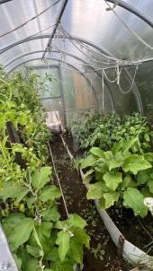 Продажа дачи Омск. Карьер, Продажа дачи Омск. Карьер,