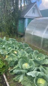 Продажа дачи Омск. Карьер, Продажа дачи Омск. Карьер,