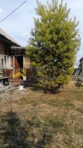 Продажа дачи Омск. г Омск, тер.СОСН Сибирский садовод-3 Продажа дачи Омск. г Омск, тер.СОСН Сибирский садовод-3