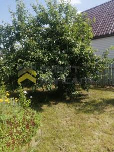 Продажа дачи Омск. г Омск, тер.СОСН Сибирский садовод-3 Продажа дачи Омск. г Омск, тер.СОСН Сибирский садовод-3