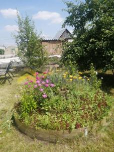 Продажа дачи Омск. г Омск, тер.СОСН Сибирский садовод-3 Продажа дачи Омск. г Омск, тер.СОСН Сибирский садовод-3