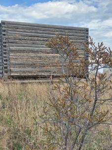 Продажа дома Омский. Зеленая Падь. тер СНТ Зеленая Падь Продажа дома Омский. Зеленая Падь. тер СНТ Зеленая Падь