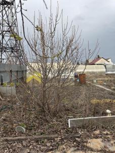 Продажа дачи Омск.&nbsp;Омск, территория СОСН Черёмушки, 15-я аллея