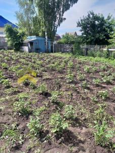 Продажа дачи Омск. г Омск, тер.СОСН Птицевод-2, д 718 Продажа дачи Омск. г Омск, тер.СОСН Птицевод-2, д 718