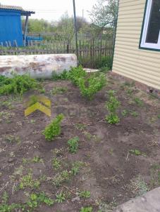 Продажа дачи Омск. г Омск, тер.СОСН Птицевод-2, д 718 Продажа дачи Омск. г Омск, тер.СОСН Птицевод-2, д 718