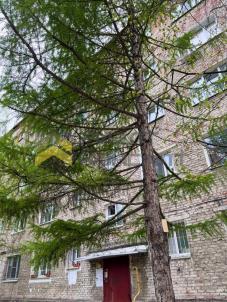 Продажа квартиры Омск. улица 22 Апреля, 18Б Продажа квартиры Омск. улица 22 Апреля, 18Б