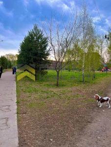 Продажа квартиры Омск. улица 22 Апреля, 18Б Продажа квартиры Омск. улица 22 Апреля, 18Б