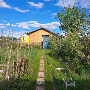 Продажа дачи Омск. снт Шинник-1 Продажа дачи Омск. снт Шинник-1