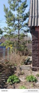 Продажа дачи Омск. г Омск, тер.СОСН Профтехобразование аллея Центральная Продажа дачи Омск. г Омск, тер.СОСН Профтехобразование аллея Центральная