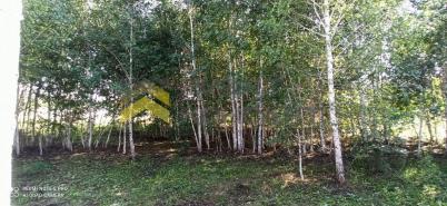 Продажа дома Омский район, Магистральное сельское поселение, деревня Зелёное Поле, Раздольная улица Продажа дома Омский район, Магистральное сельское поселение, деревня Зелёное Поле, Раздольная улица