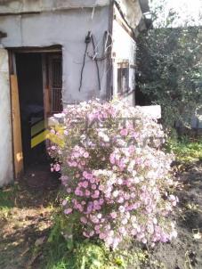 Продажа дачи Омск. г Омск , Центральный АО СНТ Продажа дачи Омск. г Омск , Центральный АО СНТ