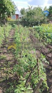 Продажа дачи Омск. г Омск , Центральный АО СНТ Продажа дачи Омск. г Омск , Центральный АО СНТ