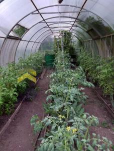 Продажа дачи Омск. г Омск , Центральный АО СНТ 